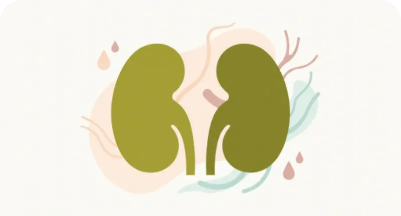 Metabolic Panel